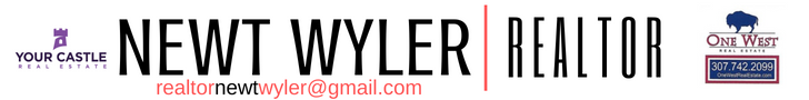 Newt Wyler | REALTOR